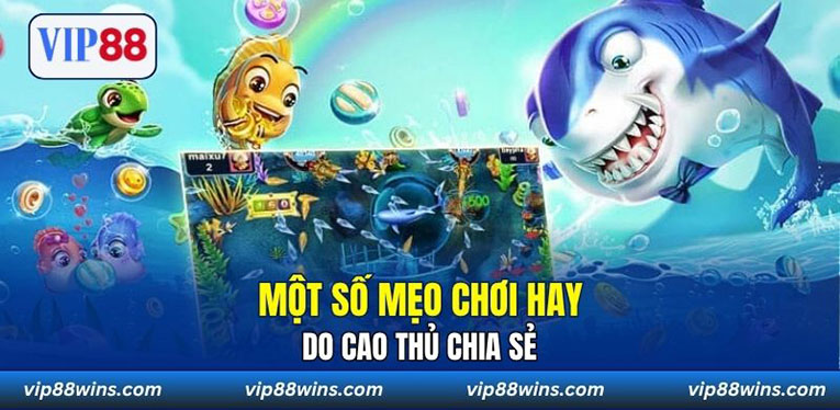 Một số mẹo chơi hay do cao thủ chia sẻ 